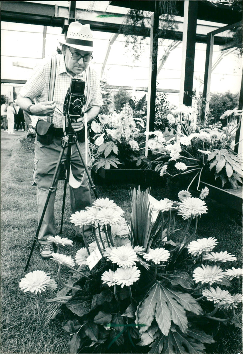 1989 OVER WHOLE OLD DESCHL BUGS FFENISS GEN ZIERFLUME WHICH FILM - Vintage Photograph