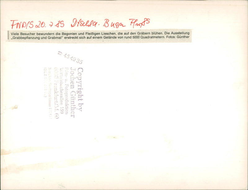 RTEN ITSCHLA BUGA FLOPS HER ADMIRES BEGONIA AND FILM - Vintage Photograph