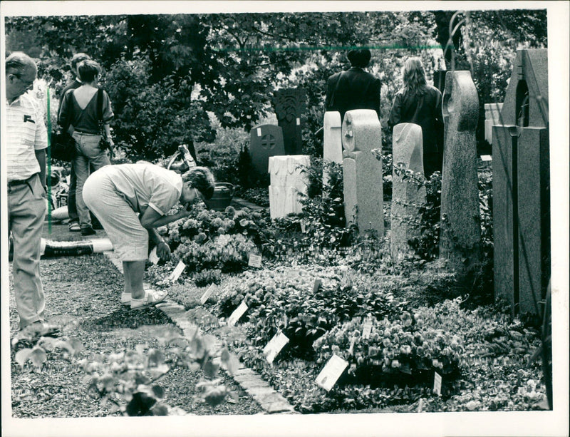 RTEN ITSCHLA BUGA FLOPS HER ADMIRES BEGONIA AND FILM - Vintage Photograph