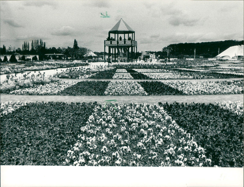 1989 FRTEN FILM WITTELSBACHERA FRANKFURT MCO BANKKTO STADTSPARKASSE LBLZ - Vintage Photograph