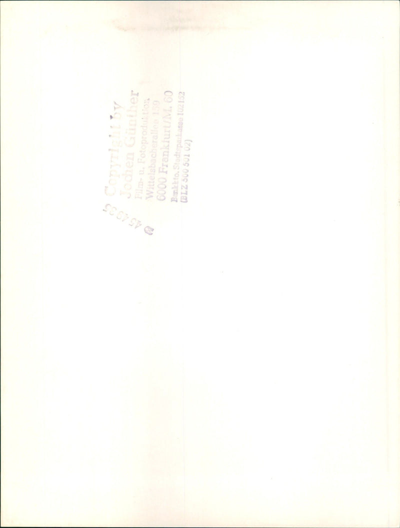 GARDEN MAIN TELA RULAQ FILM PHOTOP - Vintage Photograph