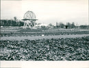 GARDEN MAIN TELA RULAQ FOTOPRODOTTI WITTELSBACHERALLEE LOY FRANKFURT FILM - Vintage Photograph
