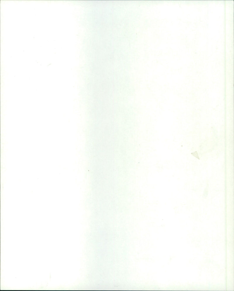 1986 REGIONS KNOBLOCHSAUE LESS NATURSCHU HESSENS NATURE RESERVE AUENLANDSCHA - Vintage Photograph