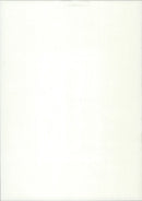 1985 FISHERIES FECHENHEIMS BAMBINIS CONTINUED HERE BAND ERICH - Vintage Photograph