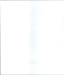 1995 FRANE FACILITIES BUNDESLIGA EINTRACHT FRANKFURT YENUEBER PETER BRENNEK - Vintage Photograph