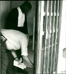 Sharkable: Jutta Boll - Vintage Photograph