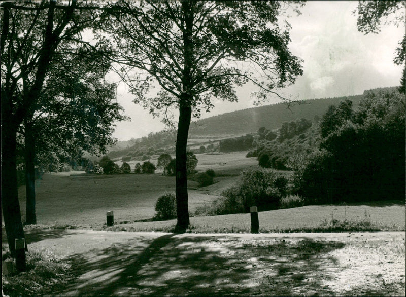 CLAMPING NUTMEG TAUNUS LANDSCAPE DRIVES WALL PAUSE HERZBERG - Vintage Photograph