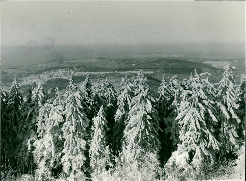 Winter in the Taunus - Vintage Photograph