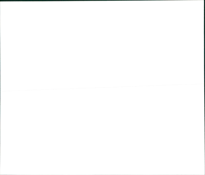 1989 CHEL HANG LITIKER PEOPLE JOSCHKA EXTOG RAPPE AWARD WINNING MODEL - Vintage Photograph