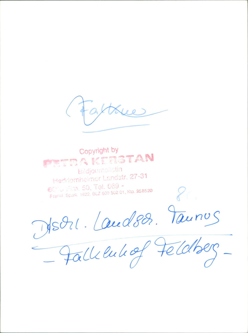 Falconer and falcon - Vintage Photograph