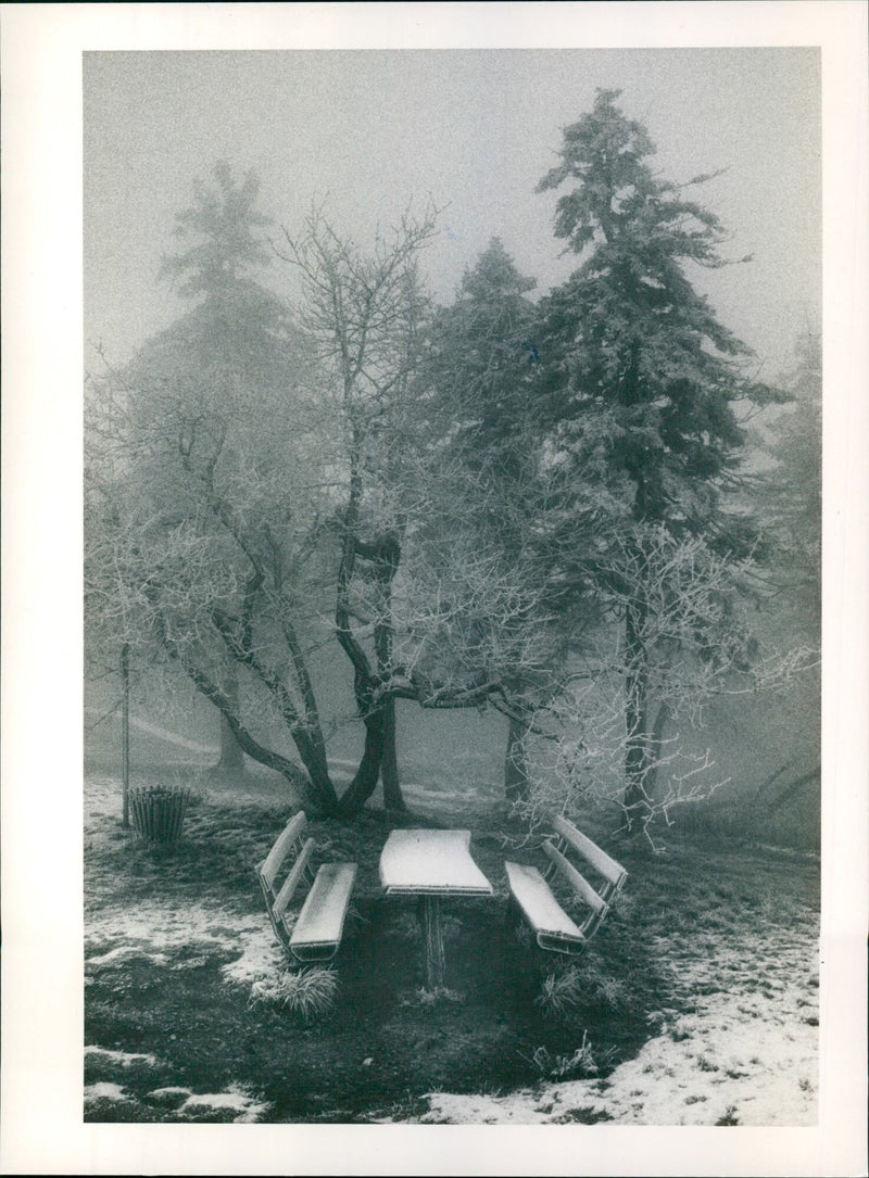 Winter on the Feldberg im Taunus - Vintage Photograph