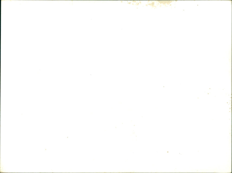 Winter on the Feldberg im Taunus - Vintage Photograph