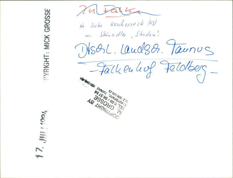 Falkenhof on the Feldberg in the Taunus - Vintage Photograph