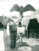 Falkenhof on the Feldberg in the Taunus - Vintage Photograph