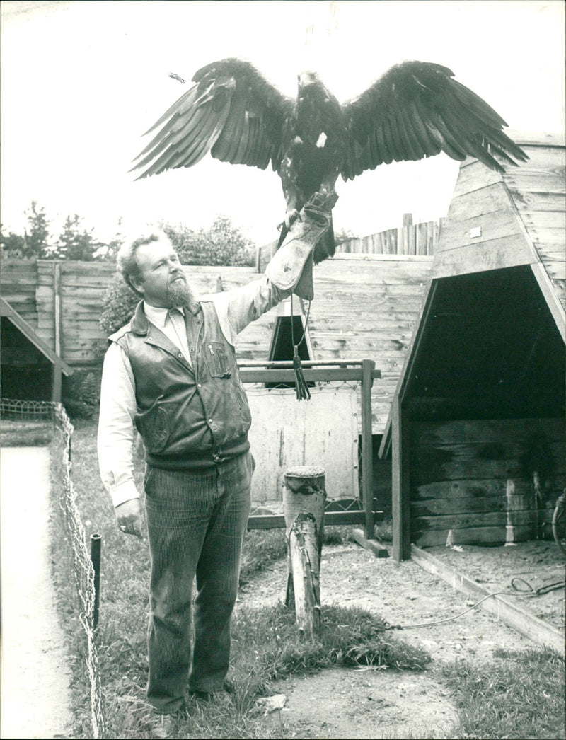Falkenhof on the Feldberg in the Taunus - Vintage Photograph