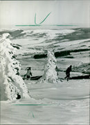 1987 LANDSCAPES ALIN LAND OPEN IRONCIN WINTER DRESS TICHON WIDE - Vintage Photograph