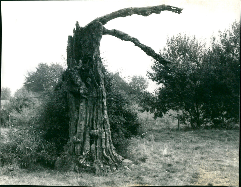 1972 LANDSCAPES GERMAN EDITION THIS ARTICLE PUBLISHED - Vintage Photograph