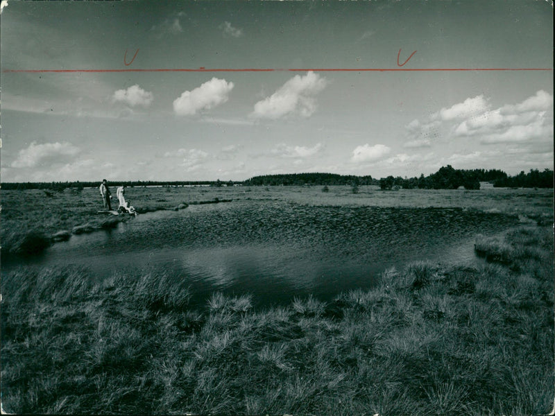 1907 LANDSCAPES HANS RETZLAFF TANN KLONGEBIRGE FRUHER DERLIN - Vintage Photograph