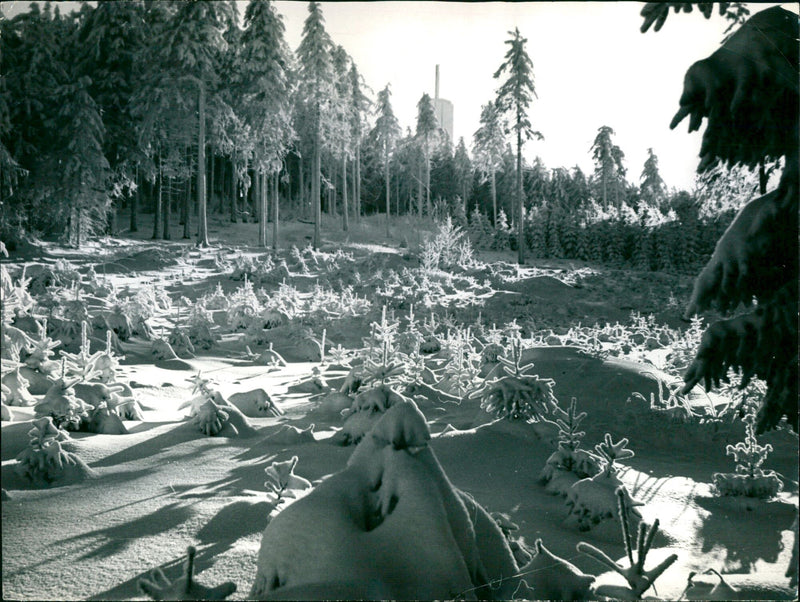 Feldberg in the Taunus - Vintage Photograph