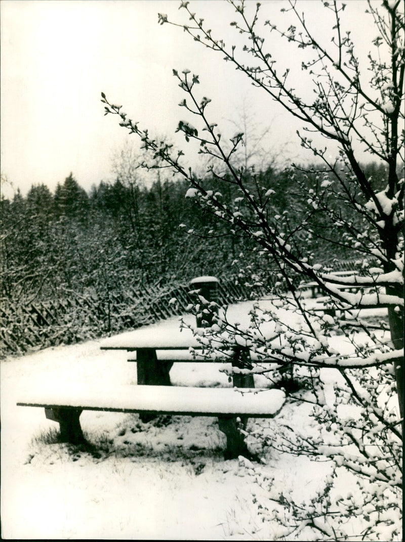 Feldberg in the Taunus - Vintage Photograph