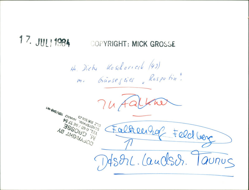 Feldberger Falkenhof - Vintage Photograph