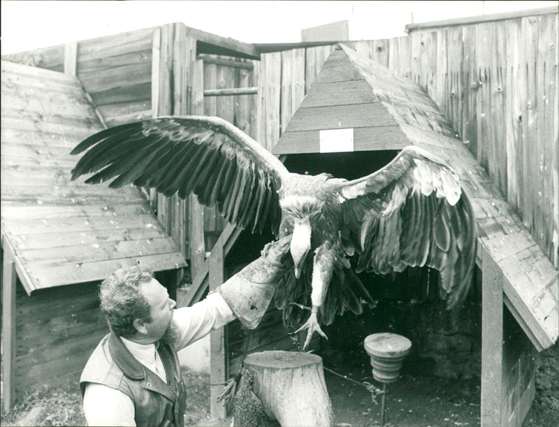 Feldberger Falkenhof - Vintage Photograph
