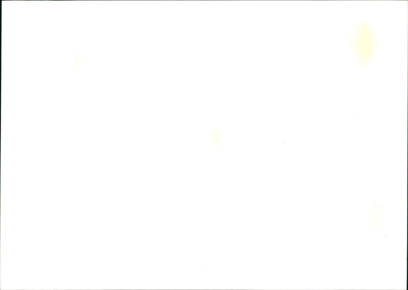 LANDSCAPES DISPLAY NATIONAL ART WASHINGTON - Vintage Photograph