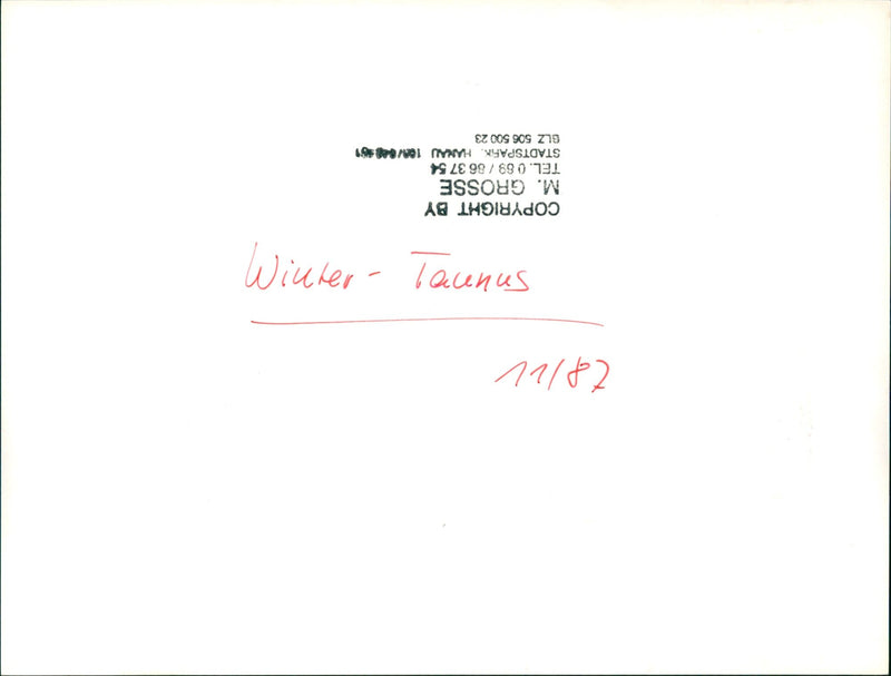 Taunus in winter - Vintage Photograph