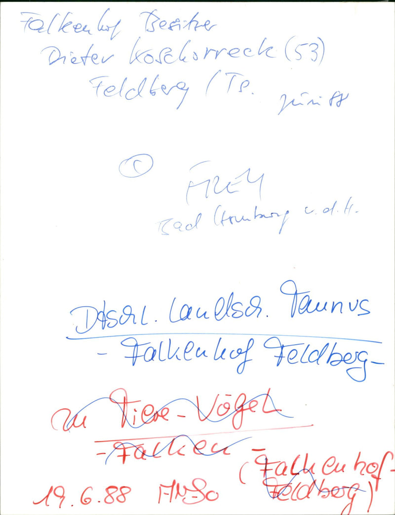 Master falconer with golden eagle - Vintage Photograph