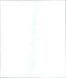 1995 FOOTBALL HALLENTUREN ANIMALS CONCERNING VFB STUTTGART AND - Vintage Photograph