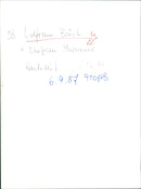 1987 Wolfram Brück and Marianne wedding - Vintage Photograph