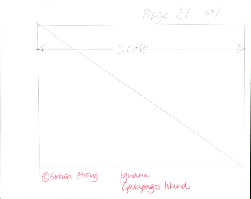 Page 21 G 67 / 3 cols Simon Strong gnana Galapagos Islands
GALAPAGOS - Vintage Photograph