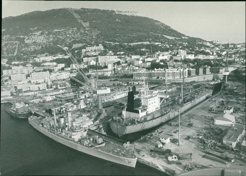 1985 KEVIN WRIGHT BROWN NAVY - Vintage Photograph