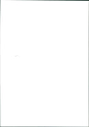 HELEN SHEEHAN BANJA LULCA - Vintage Photograph