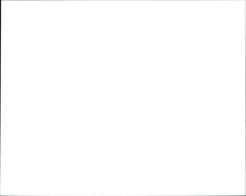 Egypt - Vintage Photograph