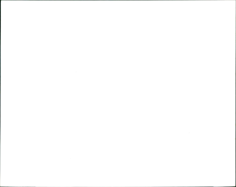 Egypt - Vintage Photograph