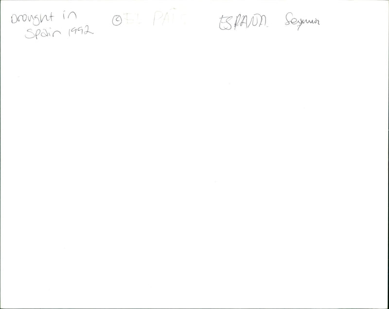 1992 TEJED SLOANNT - Vintage Photograph