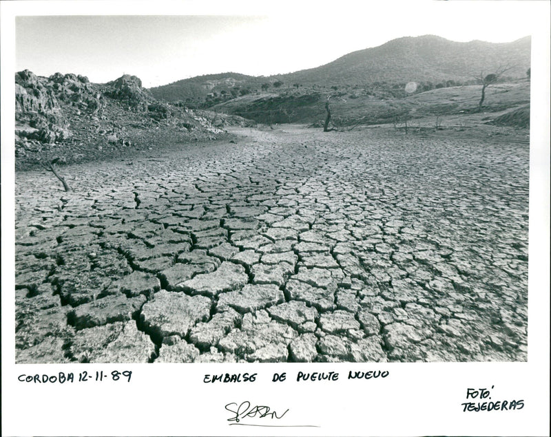 1992 TEJED SLOANNT - Vintage Photograph