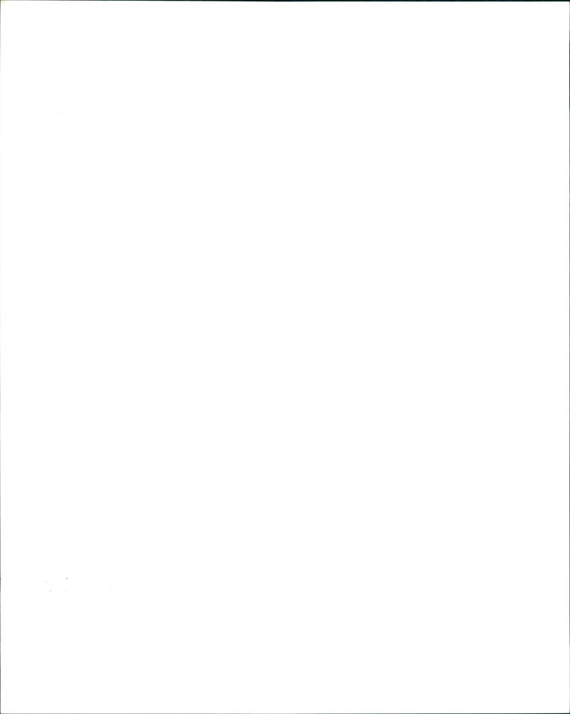 PICTURE LIBAN - Vintage Photograph