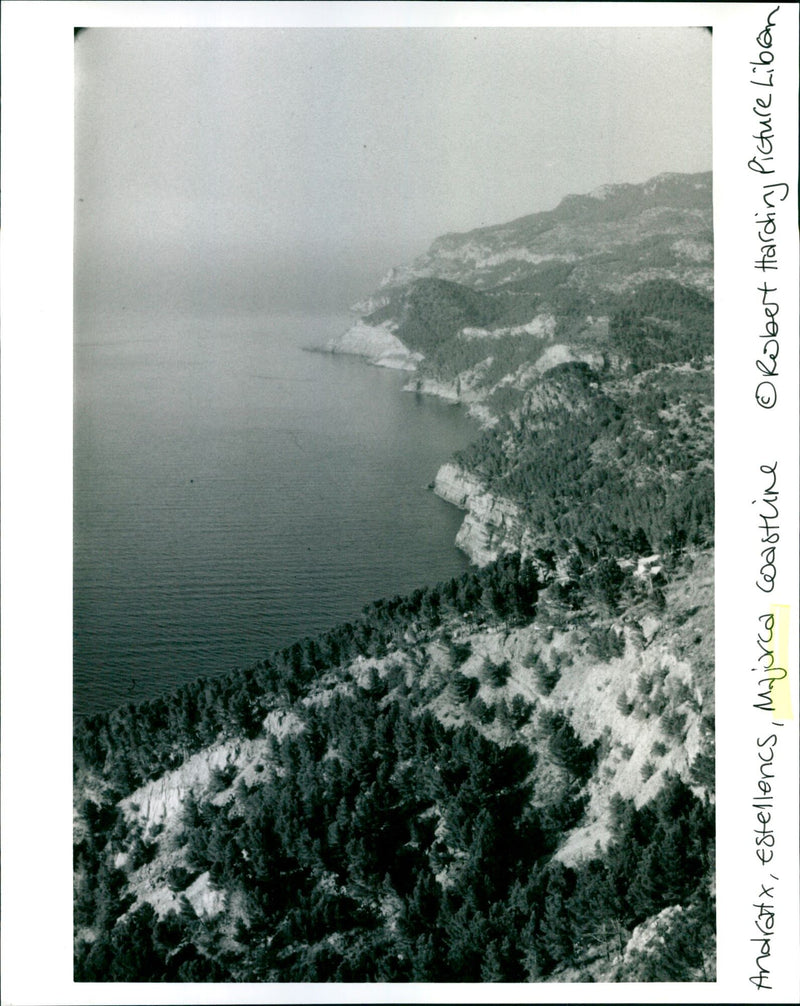 PICTURE LIBAN - Vintage Photograph