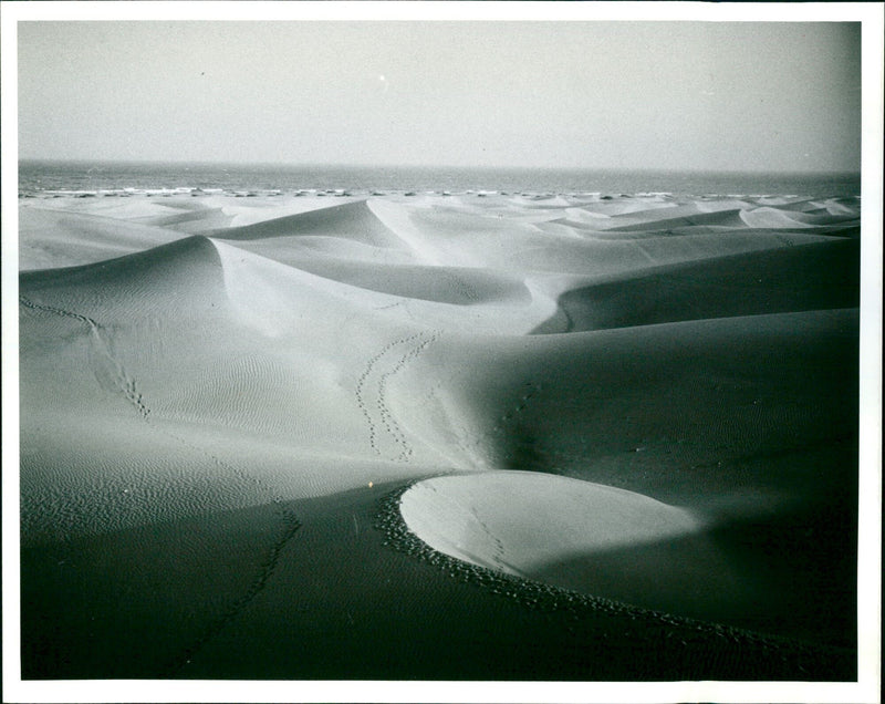 58 % GRAN IRIA JED MASPALOMAS - SAND DUNES -J.EDMANSON FEATURE - PIX COL - Vintage Photograph