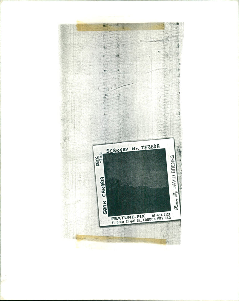 DAVID BRENES - Vintage Photograph