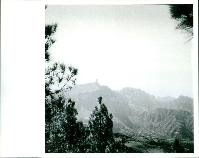 DAVID BRENES - Vintage Photograph