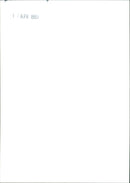 Fiat Downtown - Vintage Photograph