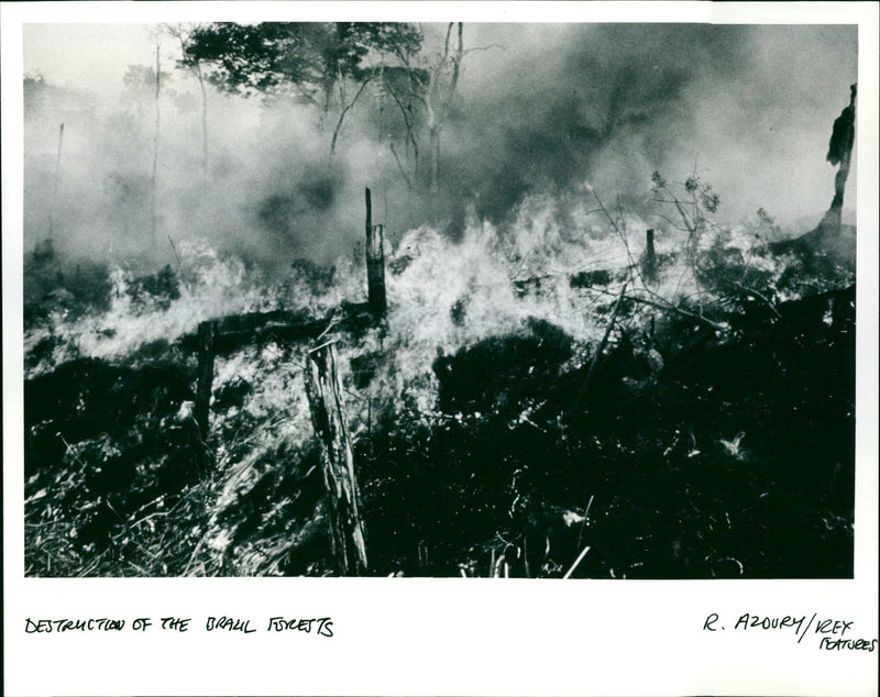 AZOUR CTION - Vintage Photograph