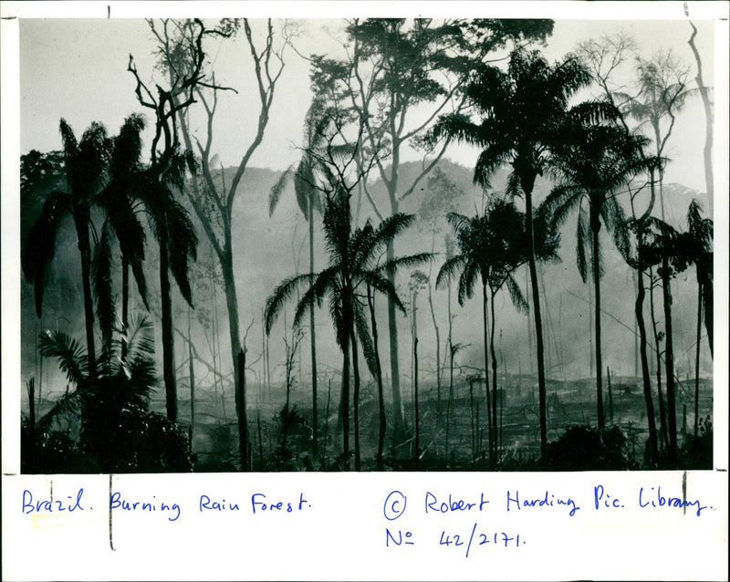 Brazil - Vintage Photograph