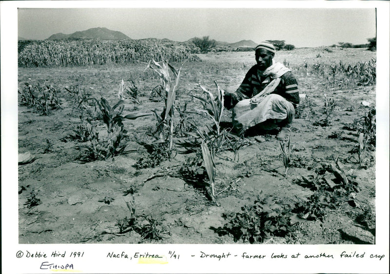 Nacta , Eritrea " % 91 id IUPA Drought - farmer looks at another
MA U - Vintage Photograph