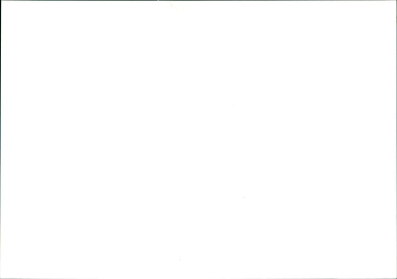 HONUND MUSIC - Vintage Photograph