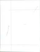 SLUG LEAFDESK MONIKA MUSICIAN CARS MUSIC - Vintage Photograph