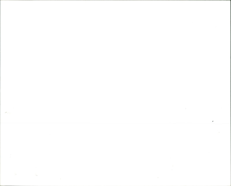 Topiary - Vintage Photograph